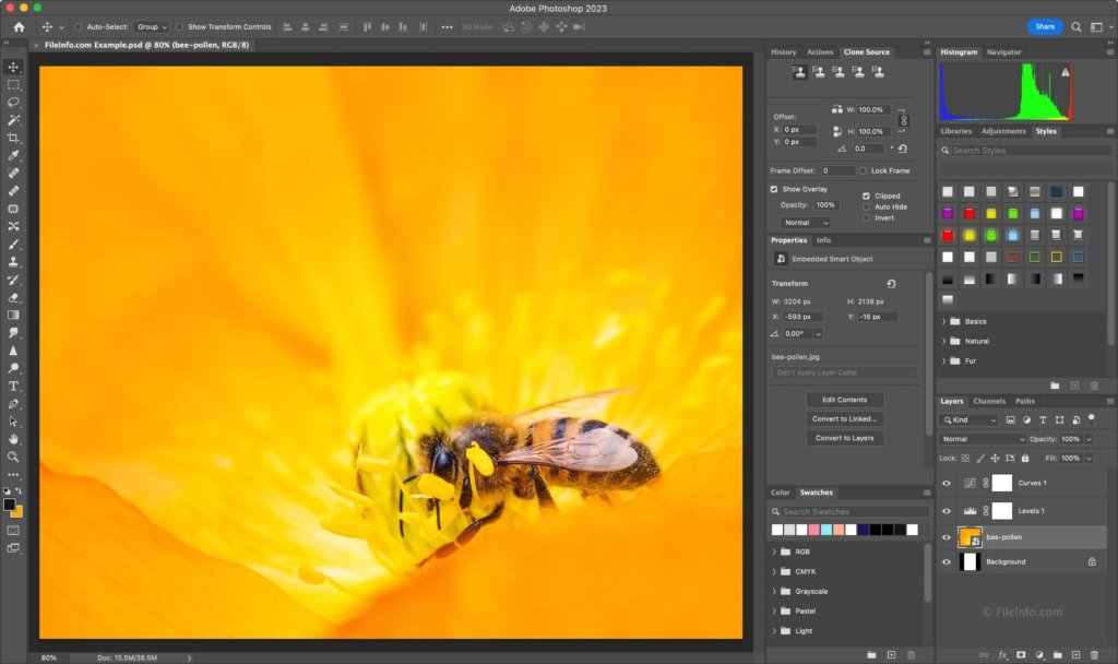 Adobe Photoshop 2023 İndir