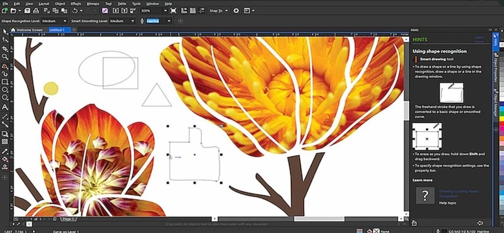 Corel Draw X8 Indir